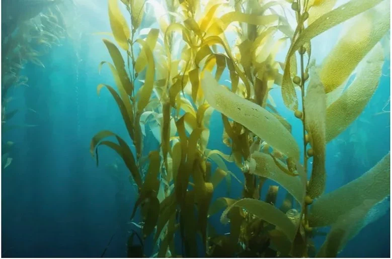 20240309232108 20240309232108